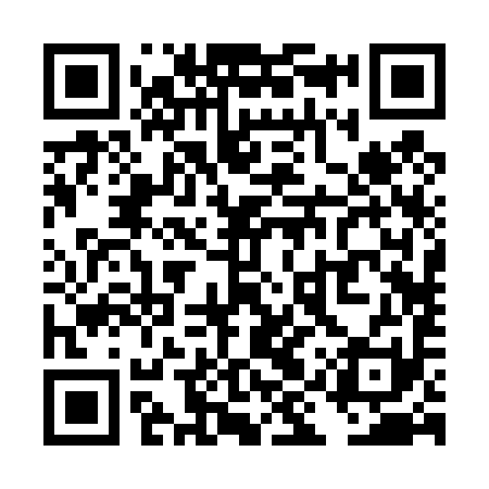 QR code for TIR491