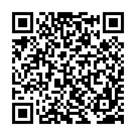 QR code for TIS096