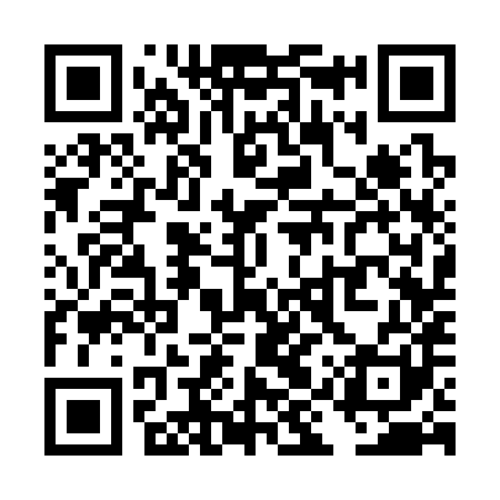 QR code for TIS381