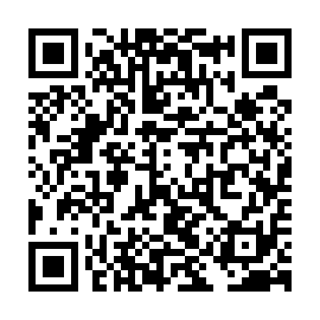 QR code for TIS511