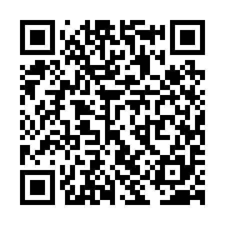 QR code for TIU295