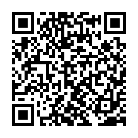 QR code for TIV313