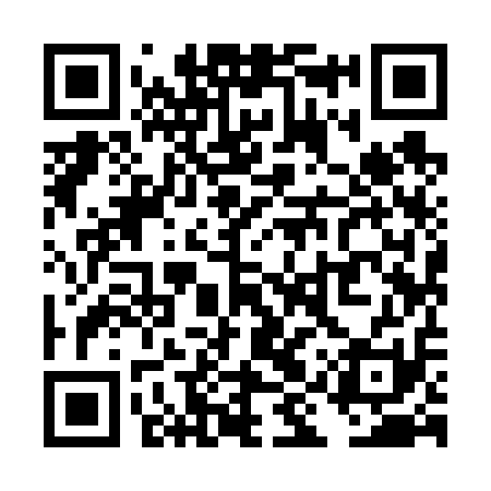 QR code for TIY611