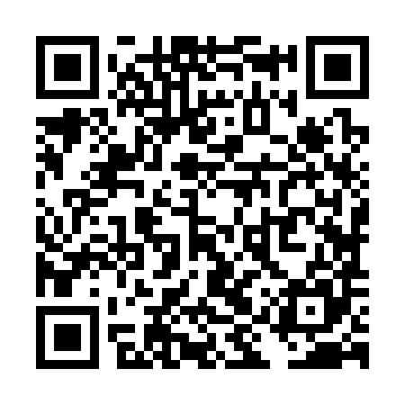 QR code for TIZ385