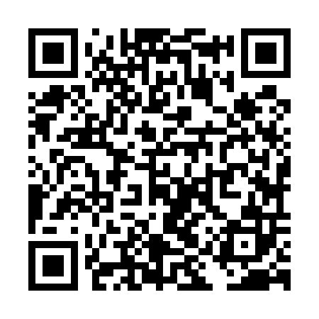 QR code for TIZ502