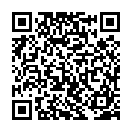 QR code for TIZ527