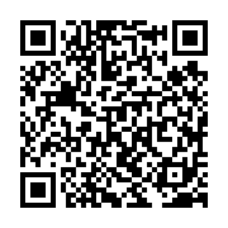 QR code for TIZ611