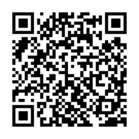 QR code for TIZ689