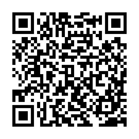 QR code for TIZ784