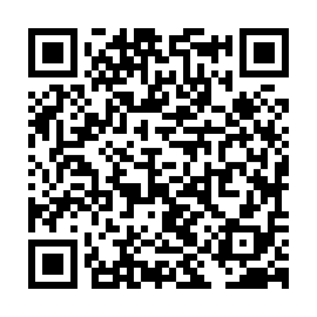 QR code for TIZ818