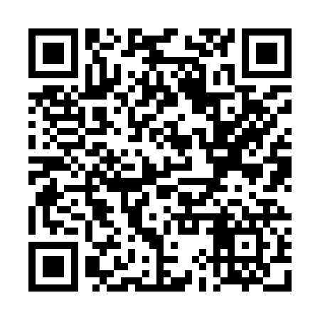 QR code for TIZ927