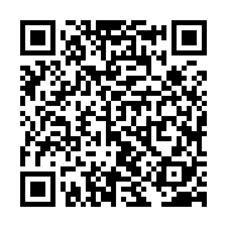 QR code for TIZ928
