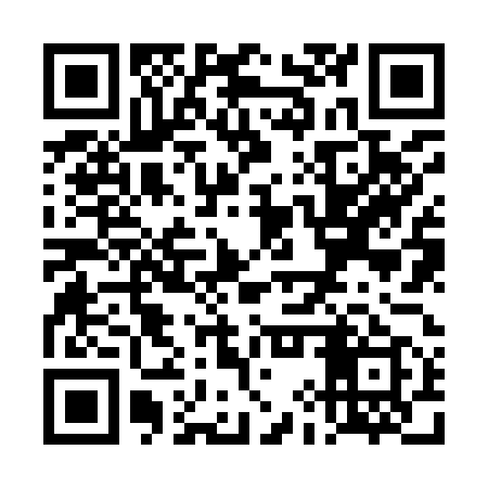 QR code for TIZ959