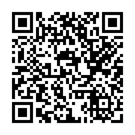 QR code for TJQ384