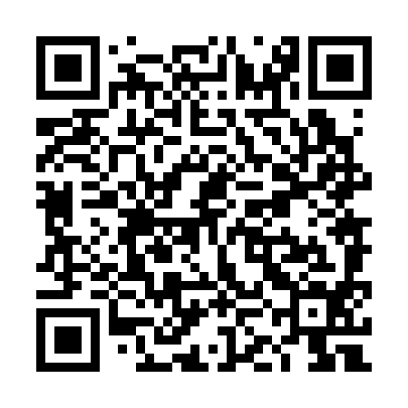QR code for TKN394