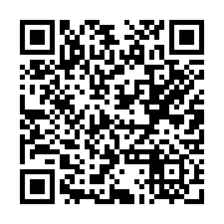 QR code for TLD339