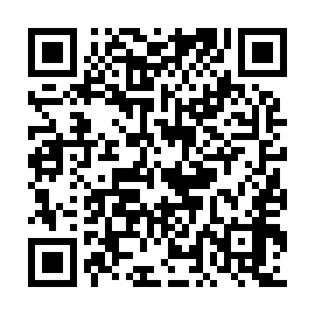 QR code for TLF958
