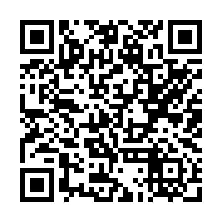 QR code for TLI291