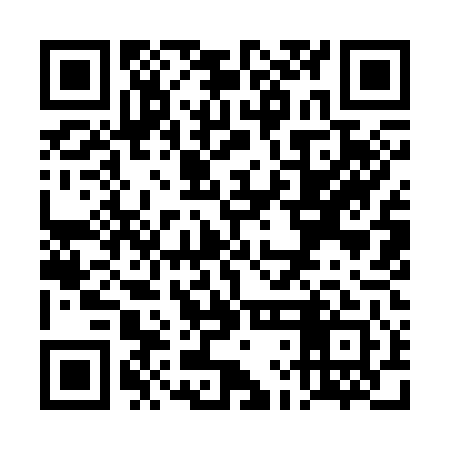 QR code for TLI341