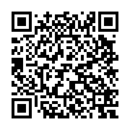 QR code for TLK029