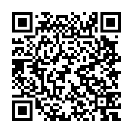 QR code for TLM079