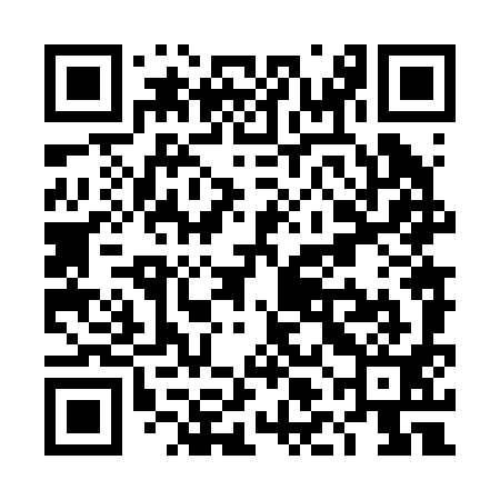 QR code for TLN291
