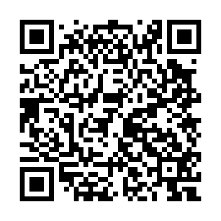 QR code for TLO013
