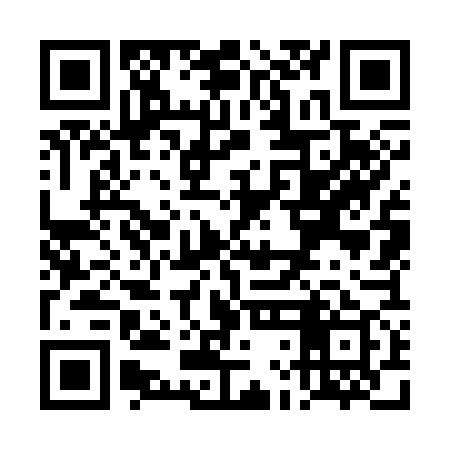 QR code for TLO379