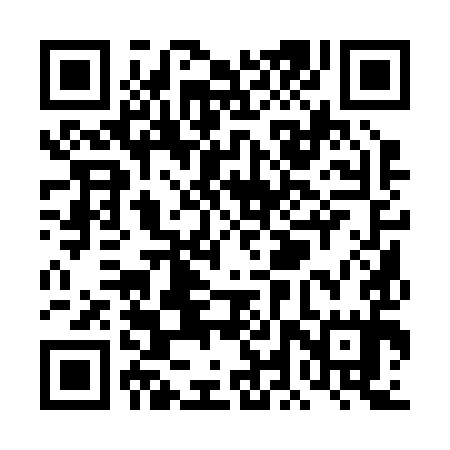 QR code for TLQ295