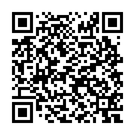 QR code for TLR311