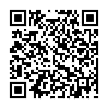 QR code for TMF384