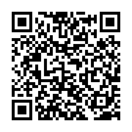 QR code for TML291