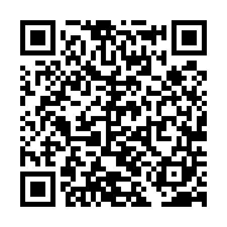 QR code for TML541