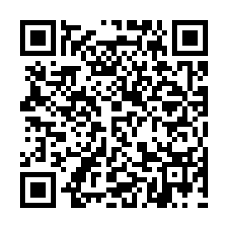 QR code for TMM333