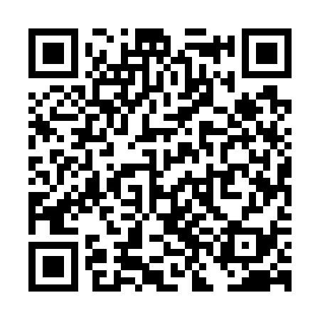 QR code for TNE739