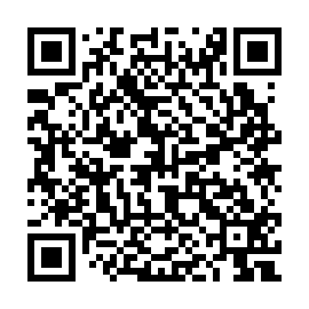 QR code for TNK313
