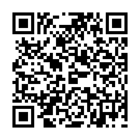 QR code for TNM295