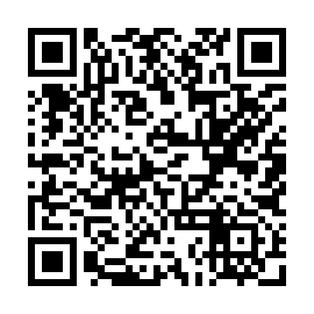 QR code for TNM993