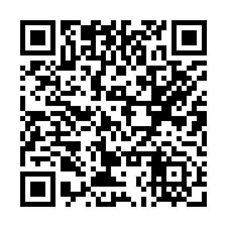 QR code for TNP953