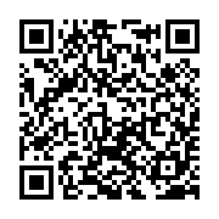 QR code for TNS095