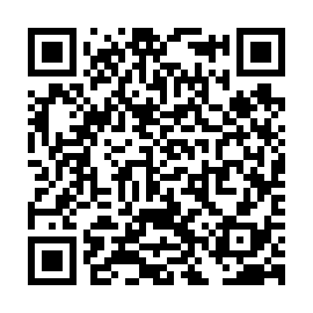 QR code for TNS638