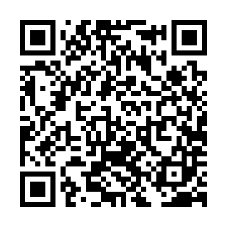 QR code for TNT383