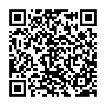 QR code for TNT387