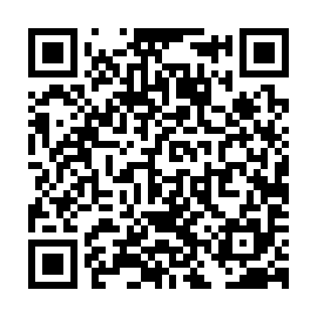 QR code for TNT395