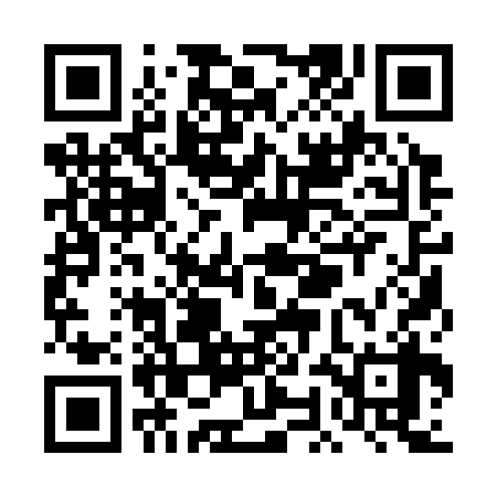 QR code for TOA338