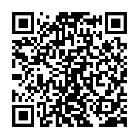 QR code for TOK318