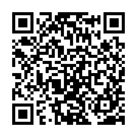 QR code for TOK384