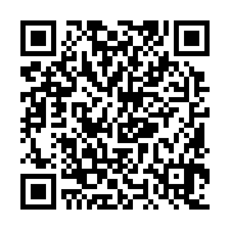 QR code for TOM384