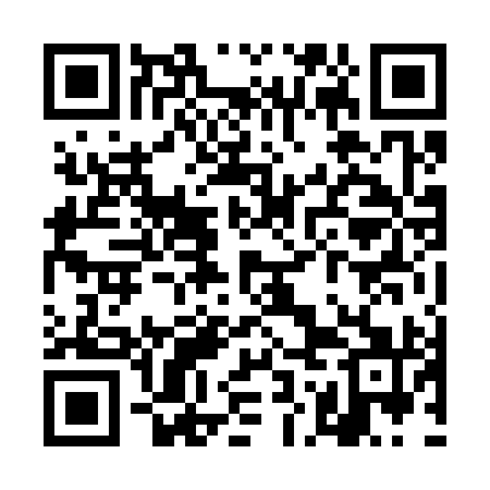 QR code for TON391