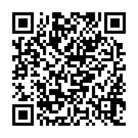 QR code for TON396